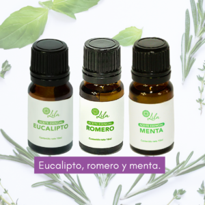 Set de aceites esenciales de eucalipto, romero y menta con fondo de hojitas